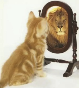 Cat looking at self in mirror and seeing a lion