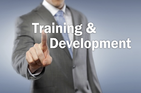 Training and Development