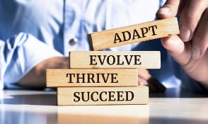 wooden blocks with adapt, evolve, thrive and succeed written on them